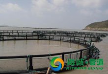 抗风浪深水网箱