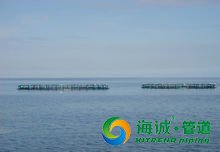 抗风浪深水网箱